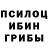 Галлюциногенные грибы мухоморы Andrey Stadnik