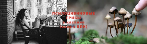 PSILOCYBIN Киренск