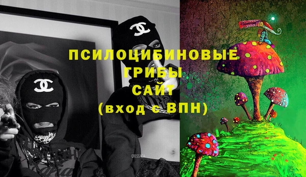 PSILOCYBIN Киренск