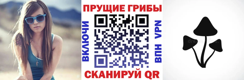 наркота  Мещовск  Галлюциногенные грибы Psilocybine cubensis 